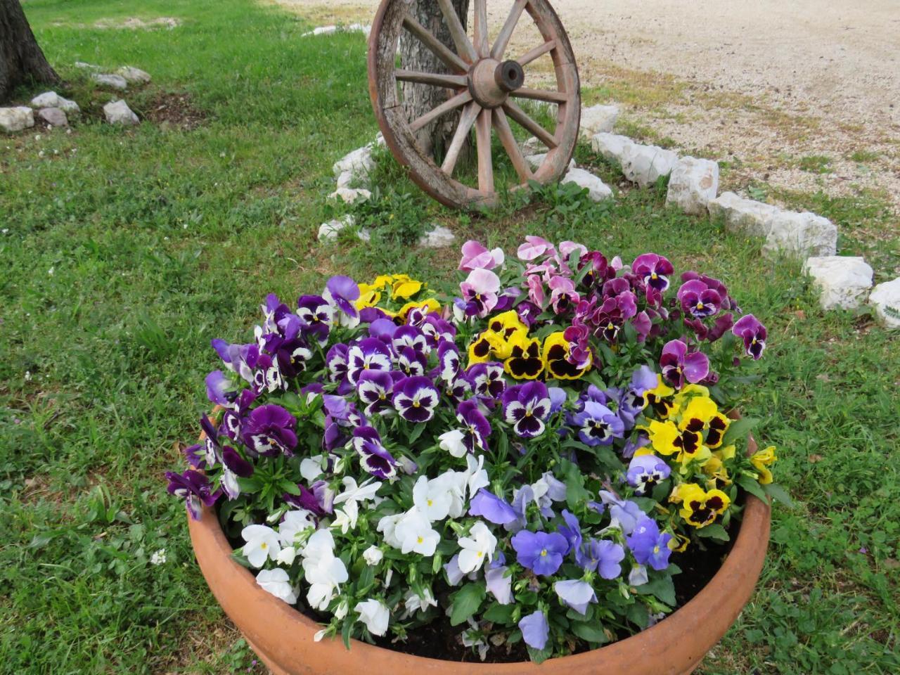 Agriturismo San Martino Foligno Exteriör bild