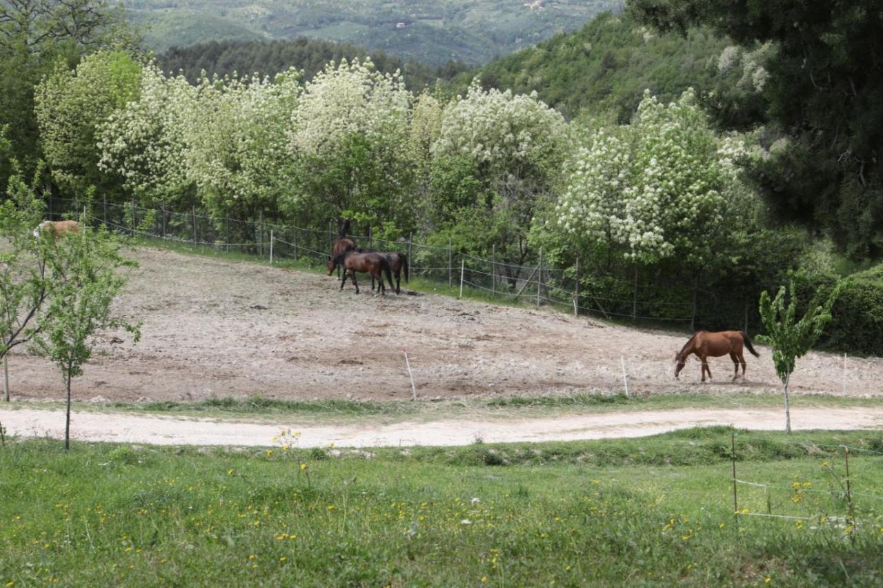 Agriturismo San Martino Foligno Exteriör bild