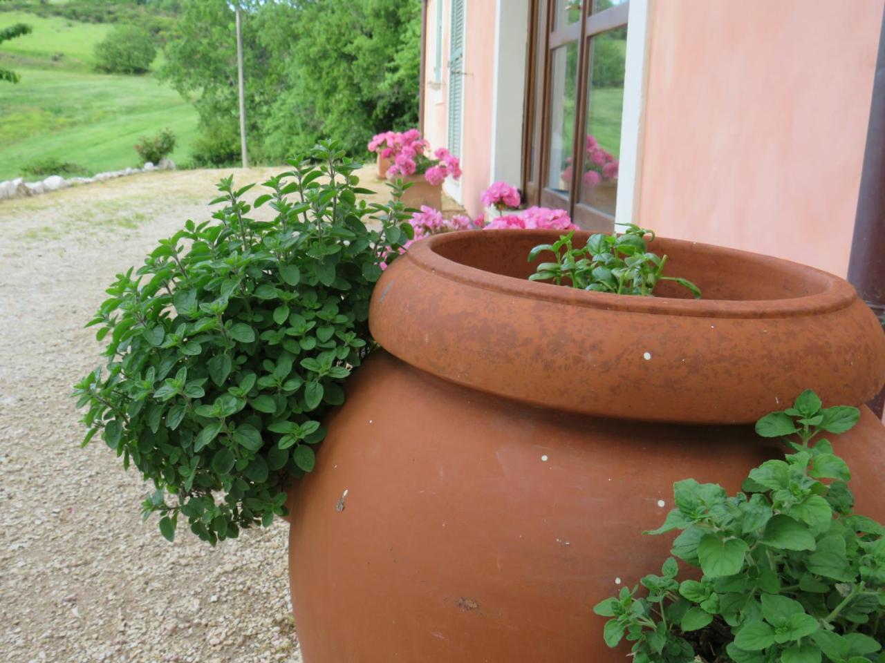 Agriturismo San Martino Foligno Exteriör bild
